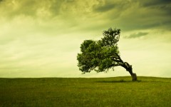 Desktop wallpaper. Nature. ID:31230