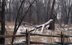 Desktop wallpaper. Nature. ID:31240