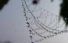 Desktop wallpaper. Nature. ID:31248