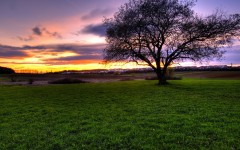 Desktop wallpaper. Nature. ID:31249
