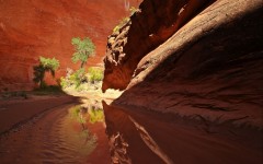 Desktop wallpaper. Nature. ID:51283