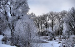 Desktop wallpaper. Nature. ID:31255