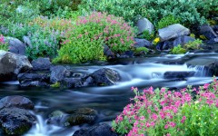 Desktop wallpaper. Nature. ID:31259