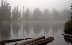 Desktop wallpaper. Nature. ID:31261