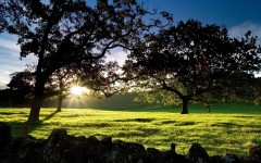 Desktop wallpaper. Nature. ID:31269