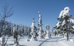 Desktop wallpaper. Nature. ID:31272
