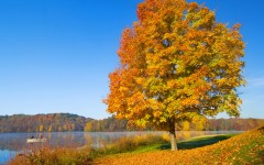 Desktop wallpaper. Nature. ID:31293