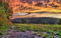 Desktop wallpaper. Nature. ID:31296