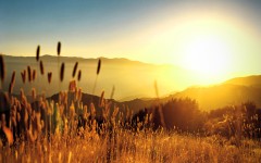 Desktop wallpaper. Nature. ID:31308
