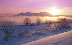 Desktop wallpaper. Nature. ID:31312