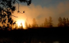 Desktop wallpaper. Nature. ID:31314