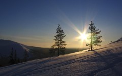 Desktop wallpaper. Nature. ID:31328