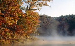 Desktop image. Nature. ID:31336