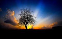 Desktop image. Nature. ID:31344