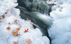 Desktop image. Nature. ID:31349