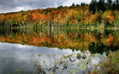 Desktop image. Nature. ID:31353
