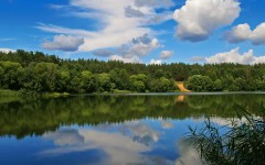 Desktop image. Nature. ID:31354