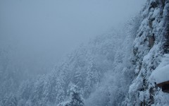 Desktop image. Nature. ID:31359