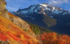 Desktop wallpaper. Nature. ID:31367