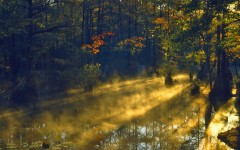 Desktop wallpaper. Nature. ID:31372