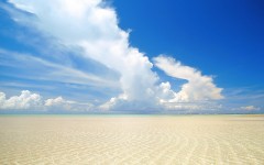 Desktop wallpaper. Nature. ID:31381