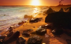 Desktop wallpaper. Nature. ID:31387
