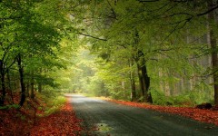 Desktop wallpaper. Nature. ID:31391