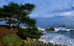 Desktop wallpaper. Nature. ID:31393