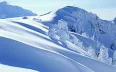 Desktop wallpaper. Nature. ID:31395