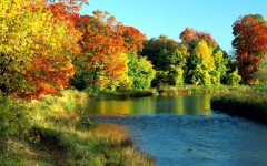 Desktop wallpaper. Nature. ID:31398