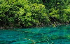 Desktop wallpaper. Nature. ID:31407