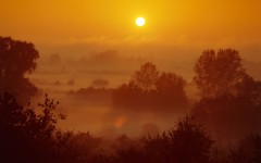 Desktop wallpaper. Nature. ID:31409