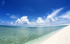 Desktop wallpaper. Nature. ID:31419