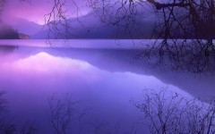 Desktop wallpaper. Nature. ID:31429