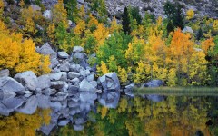 Desktop wallpaper. Nature. ID:31430