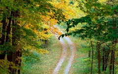 Desktop wallpaper. Nature. ID:31431