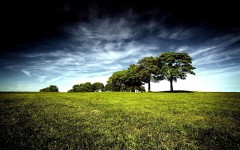 Desktop wallpaper. Nature. ID:31438
