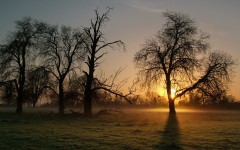 Desktop wallpaper. Nature. ID:31443