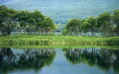 Desktop wallpaper. Nature. ID:31444
