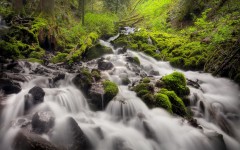 Desktop wallpaper. Nature. ID:31445