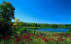 Desktop wallpaper. Nature. ID:31447