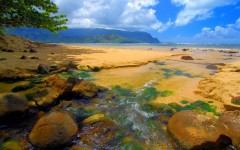 Desktop wallpaper. Nature. ID:31462