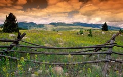 Desktop wallpaper. Nature. ID:31463