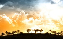 Desktop wallpaper. Nature. ID:31468