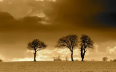 Desktop wallpaper. Nature. ID:31470