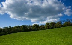 Desktop wallpaper. Nature. ID:31472