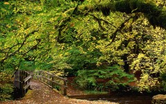 Desktop wallpaper. Nature. ID:31493