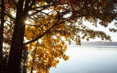 Desktop wallpaper. Nature. ID:31498