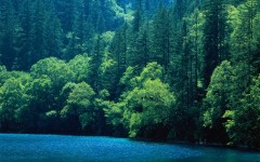 Desktop wallpaper. Nature. ID:31504