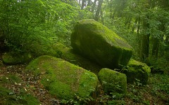 Desktop wallpaper. Nature. ID:31509